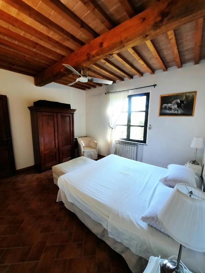 Il Casolare Val Di Mare Lejlighed Riparbella Eksteriør billede